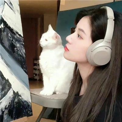 土豆侠第二季